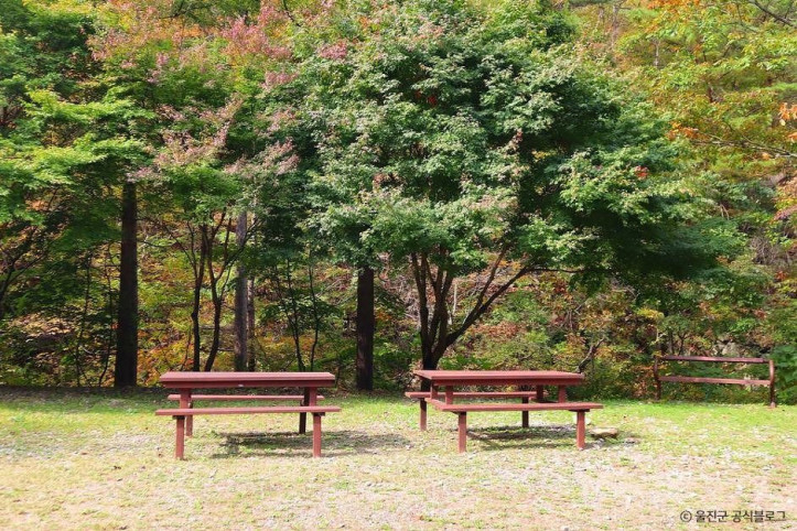 국립 통고산자연휴양림 여행 추천 - 메고지고