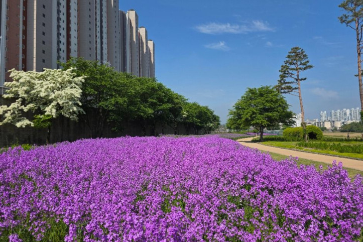 영천생태지구공원 여행 추천 - 메고지고