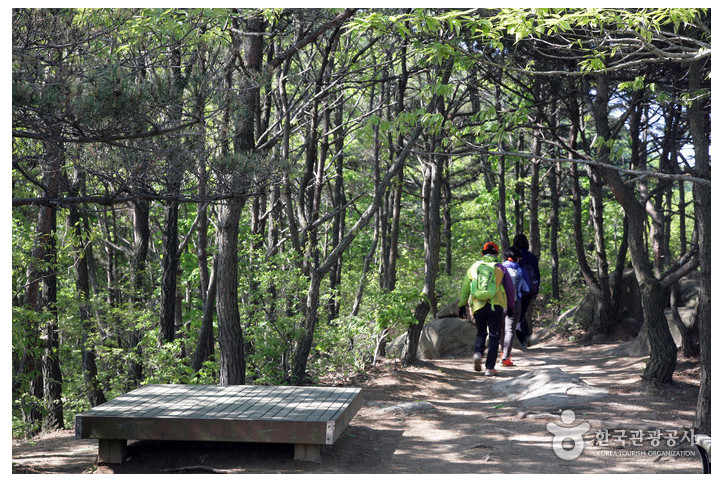 팔봉산(서산) 여행 추천 - 메고지고