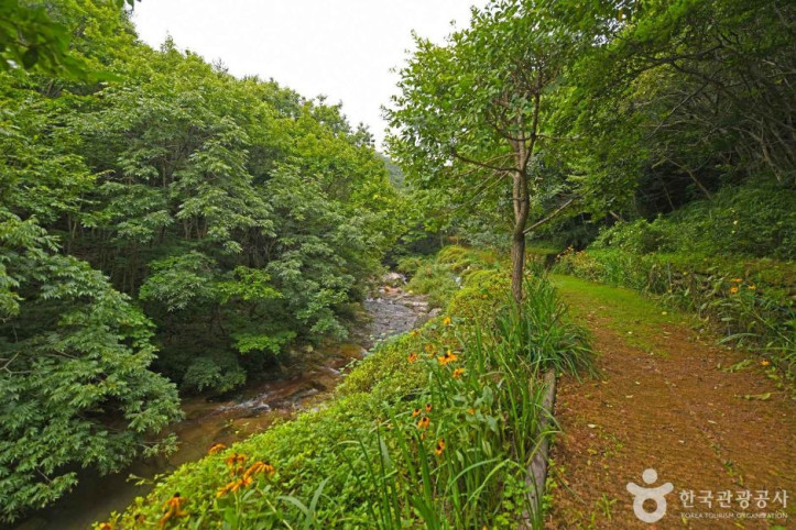 거금생태숲 여행 추천 - 메고지고