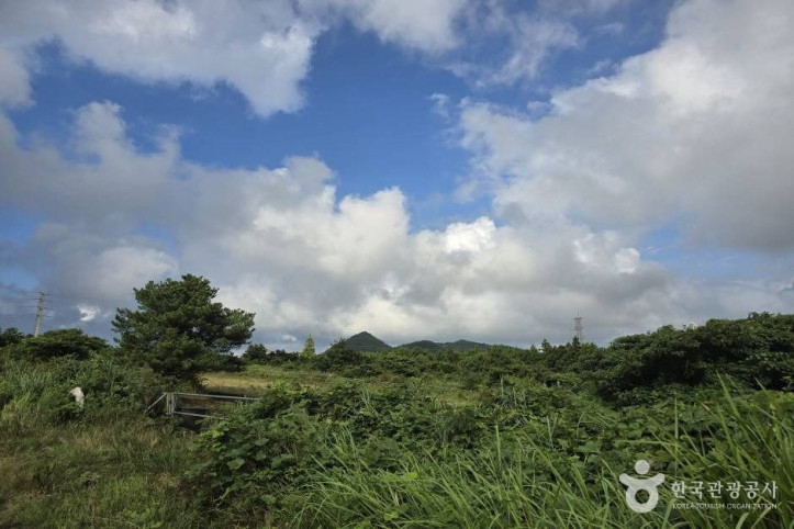 동거문오름 여행 추천 - 메고지고