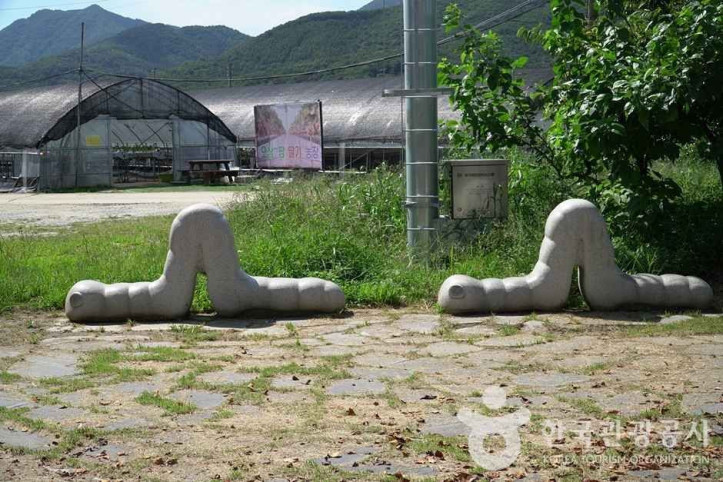 마음정원 여행 추천 - 메고지고