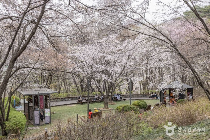 연희숲속쉼터 여행 추천 - 메고지고