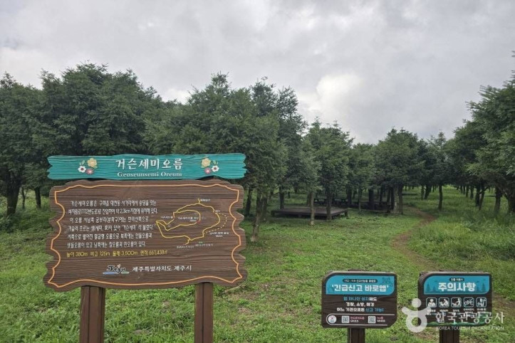 거슨새미오름 여행 추천 - 메고지고
