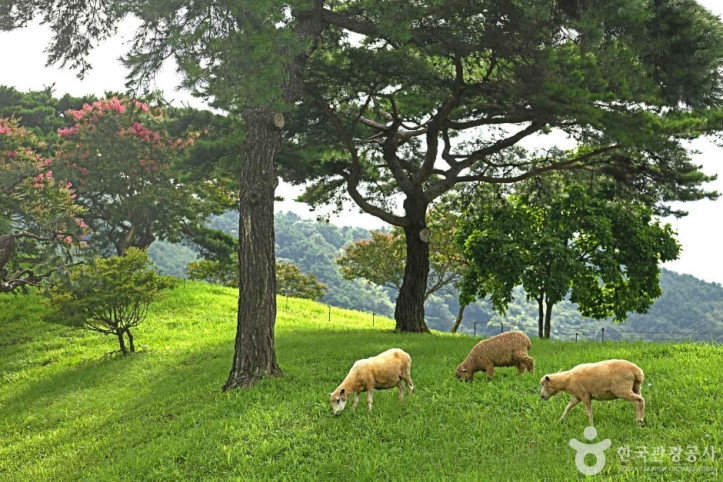 지리산호수공원 여행 추천 - 메고지고