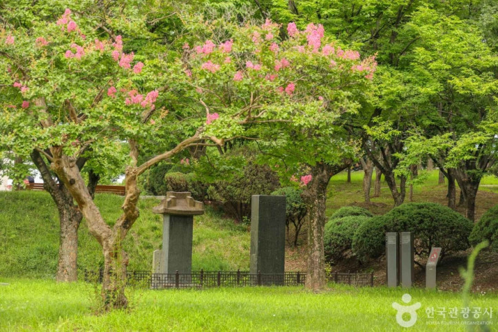 대구부수성비 여행 추천 - 메고지고