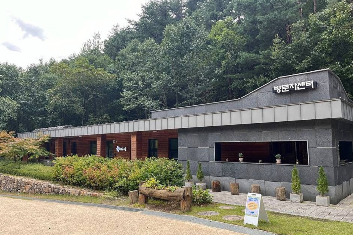 삼척 활기 치유의 숲 여행 추천 - 메고지고