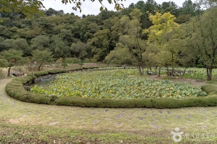 공작산생태숲 여행 추천 - 메고지고