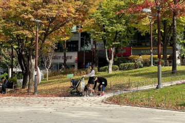 이대거리 여행 추천 - 메고지고