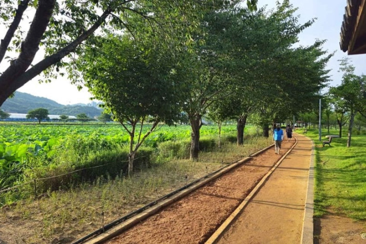 지산샛강생태공원 여행 추천 - 메고지고