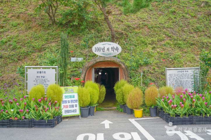 보성 골망태다원 여행 추천 - 메고지고