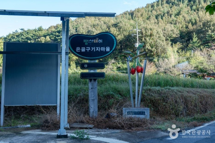 은골구기자마을 여행 추천 - 메고지고