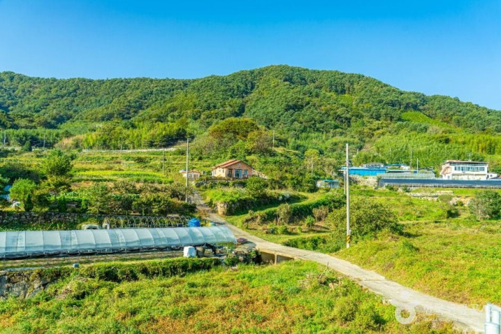 궁항마을 여행 추천 - 메고지고