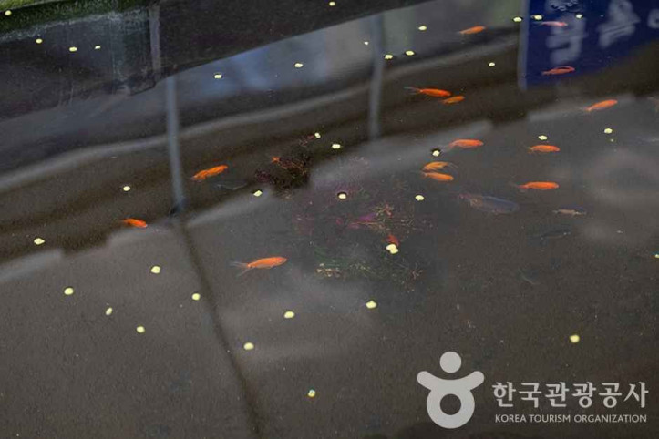 찬우물 체험동물농장 여행 추천 - 메고지고