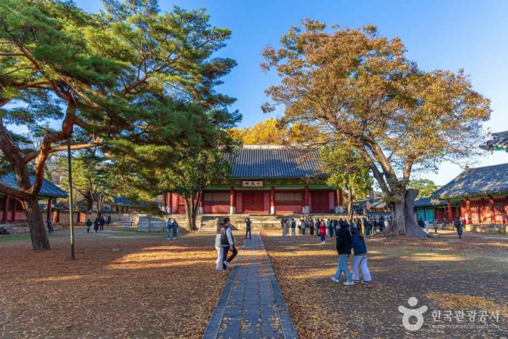 서울 문묘와 성균관 여행 추천 - 메고지고