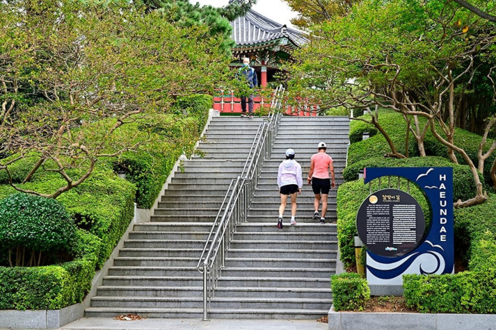 달맞이동산 여행 추천 - 메고지고