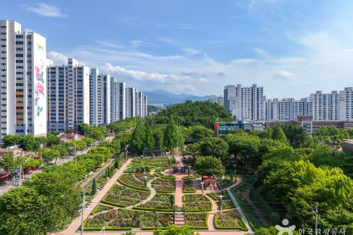 이곡장미공원 여행 추천 - 메고지고