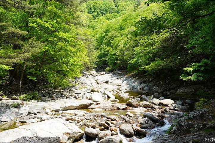 뱀사골계곡 여행 추천 - 메고지고