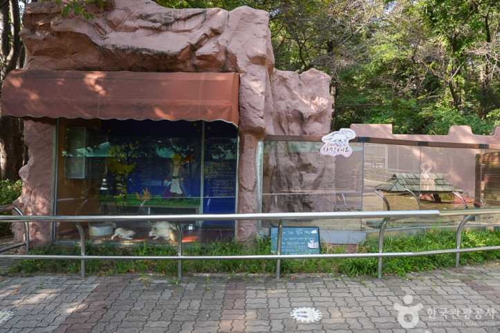 인천대공원 어린이동물원 여행 추천 - 메고지고