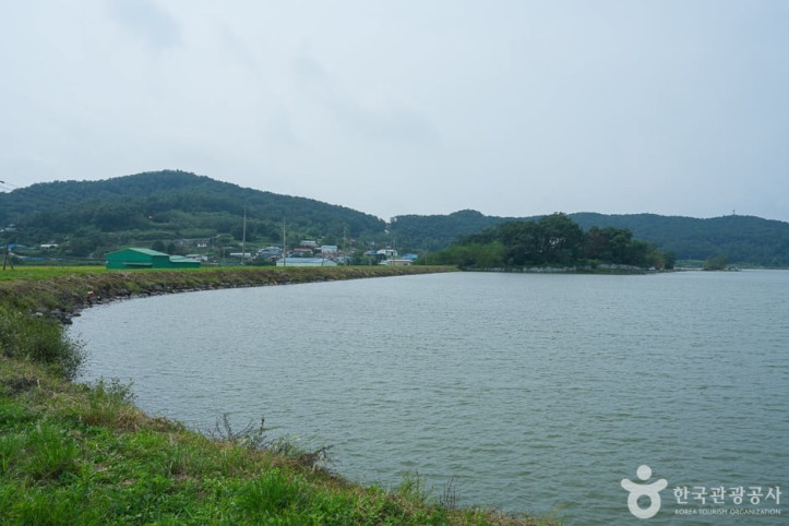 삼산저수지 여행 추천 - 메고지고