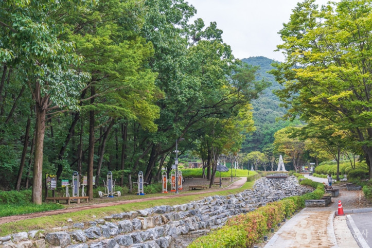 태조산 공원 여행 추천 - 메고지고