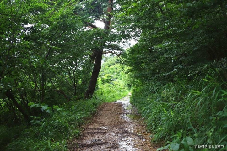 가의도 여행 추천 - 메고지고