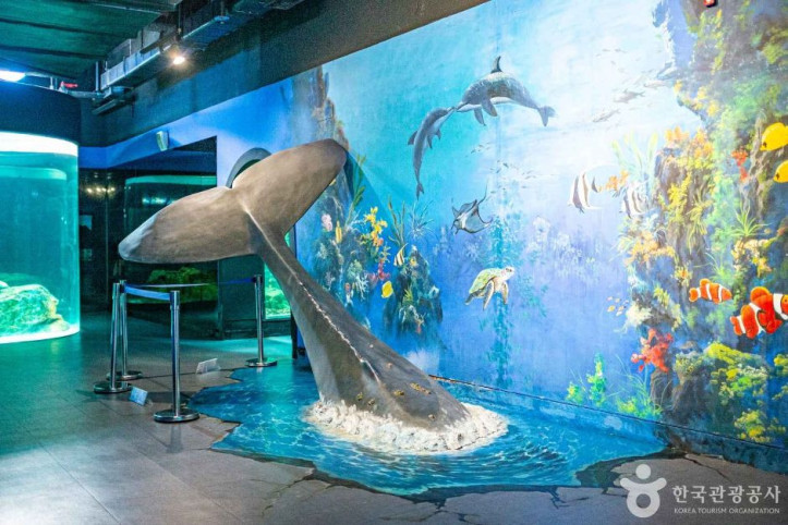 울진아쿠아리움 여행 추천 - 메고지고