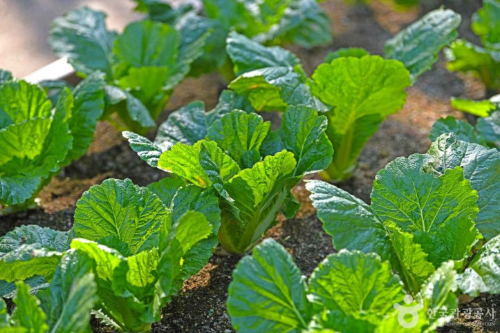 부영공원 여행 추천 - 메고지고