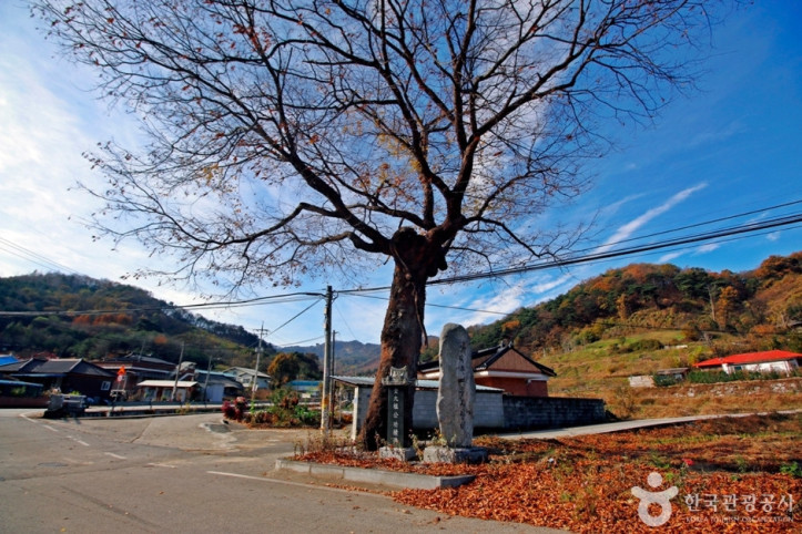 충주 상대촌농촌체험마을 여행 추천 - 메고지고