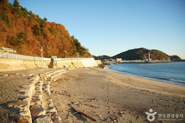 임원해변 여행 추천 - 메고지고