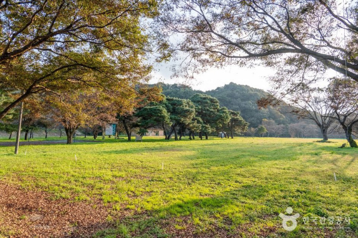 구송정 유원지 여행 추천 - 메고지고