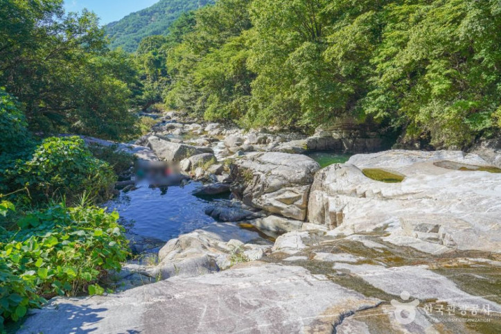 기백산 용추계곡과 용추폭포 여행 추천 - 메고지고