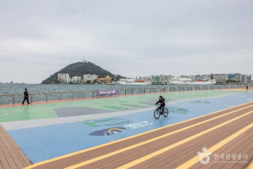하리선착장(부산) 여행 추천 - 메고지고