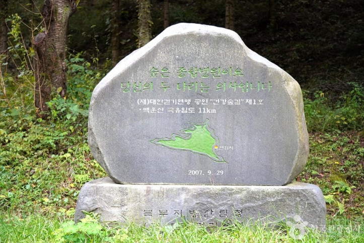 국립 백운산자연휴양림(원주) 여행 추천 - 메고지고