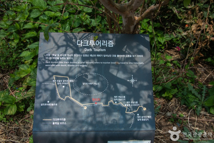 알뜨르비행장 및 일본군 비행기 격납고 여행 추천 - 메고지고