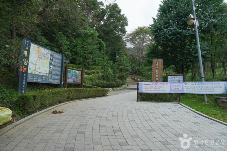 계양산 산림욕장 여행 추천 - 메고지고