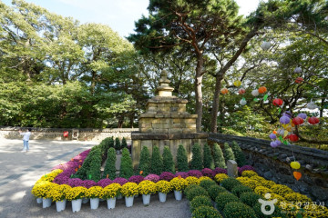법주사(군위) 여행 추천 - 메고지고
