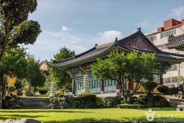 낭만농장 귤밭76번지 여행 추천 - 메고지고