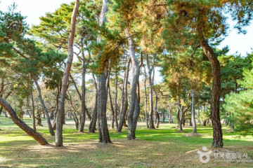 경주 무열왕릉, 태종무열왕릉비 여행 추천 - 메고지고