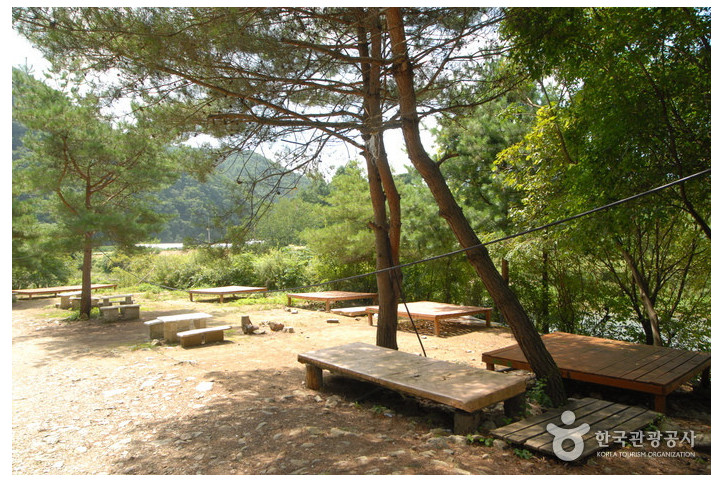 주천강자연휴양림 여행 추천 - 메고지고
