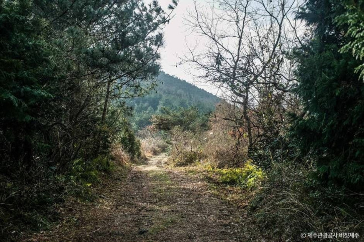 둔지봉 여행 추천 - 메고지고