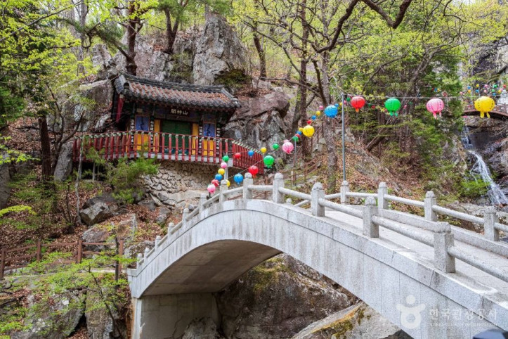 홍룡사(양산) 여행 추천 - 메고지고