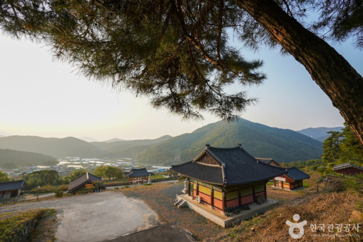 반룡사(경산) 여행 추천 - 메고지고
