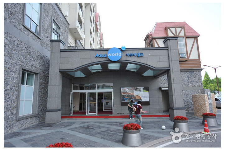 소노벨 변산 오션플레이 여행 추천 - 메고지고