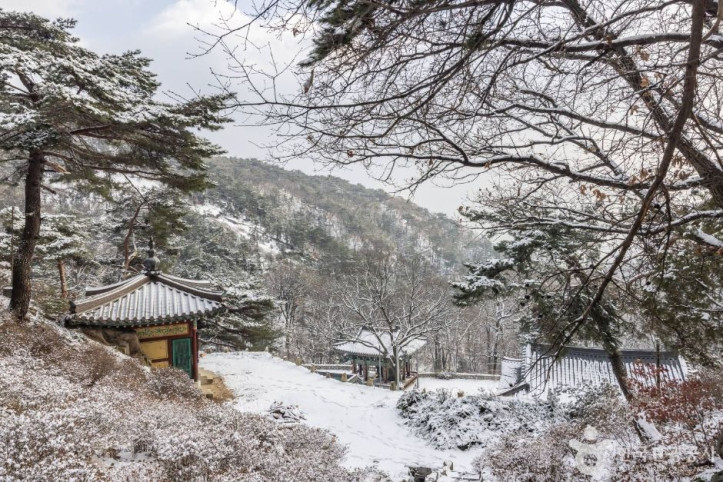 내원사(서울) 여행 추천 - 메고지고