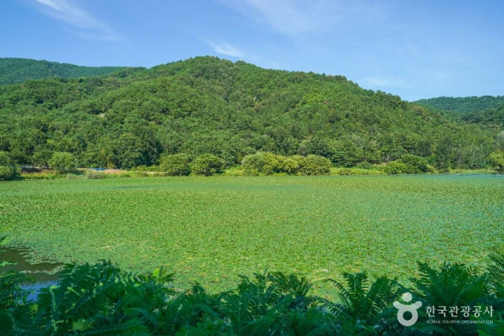 유등지 여행 추천 - 메고지고