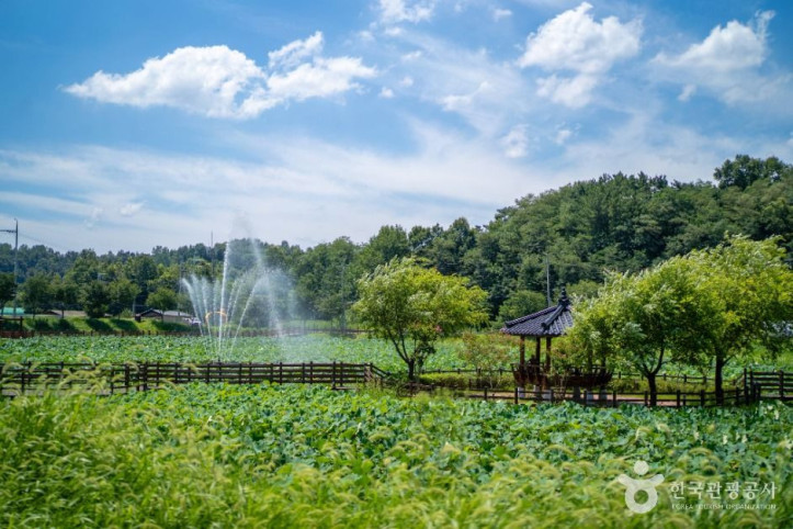 뒷미지수변공원 여행 추천 - 메고지고