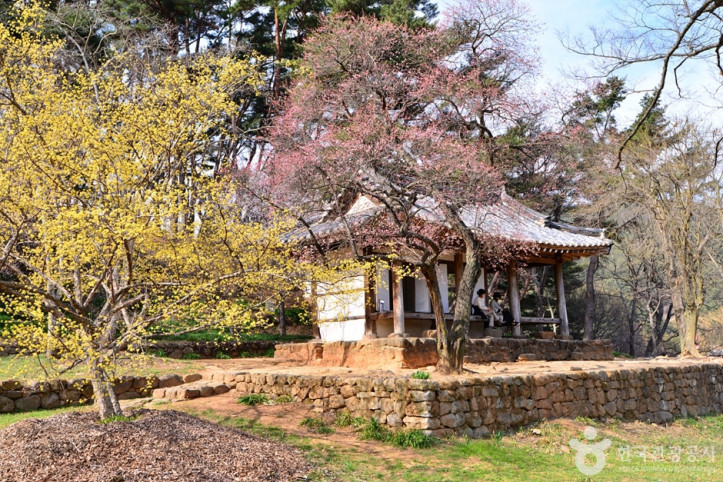 환벽당 여행 추천 - 메고지고