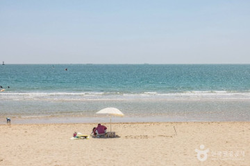 죽도공원 여행 추천 - 메고지고