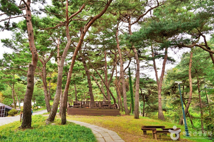 진천 배티 성지 여행 추천 - 메고지고